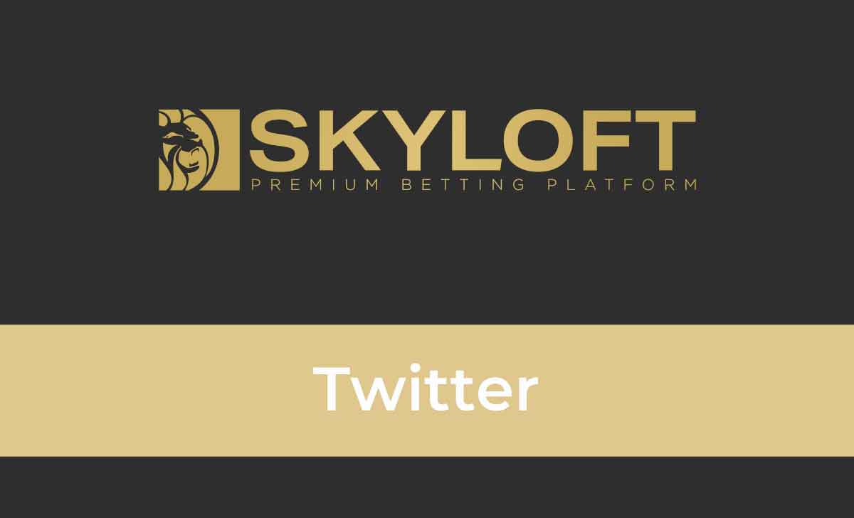 Skyloft Twitter